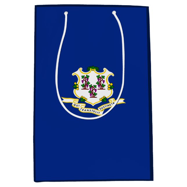 Sac Cadeau Moyen Conception de l'indicateur d'état Connecticut (Devant)