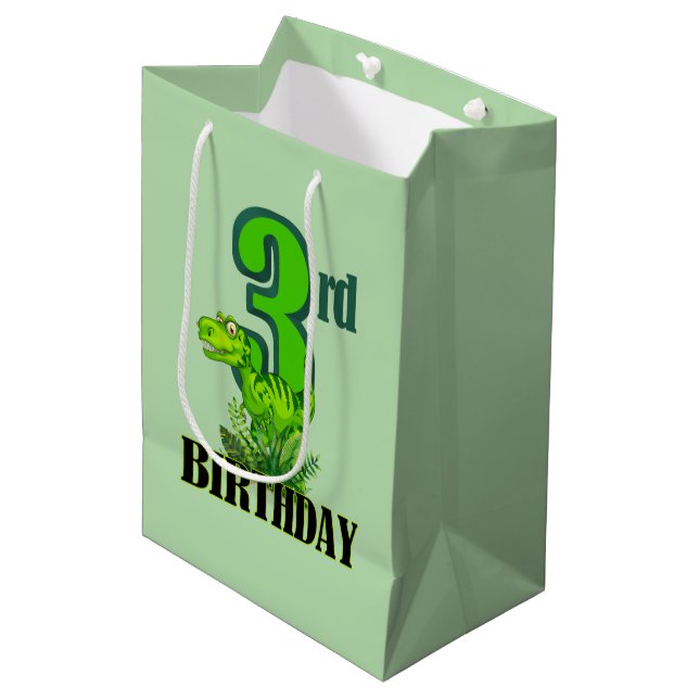 Sac Cadeau Moyen Cool garçons dinosaure party 3e (Devant Angle)