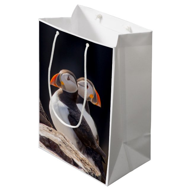 Sac Cadeau Moyen Couple de macareux (Devant Angle)
