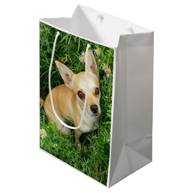 Sac Cadeau Moyen Cute Chihuahua in Grass Meadow (Devant Angle)