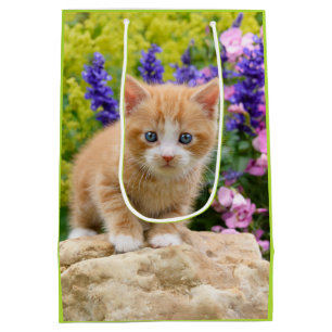 Sac Cadeau Moyen Cute Ginger Chat Kitten Fleur Jardin emballage cad