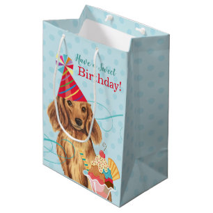 Sac Cadeau Moyen Dachshund aux cheveux longs
