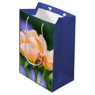 Sac Cadeau Moyen désir