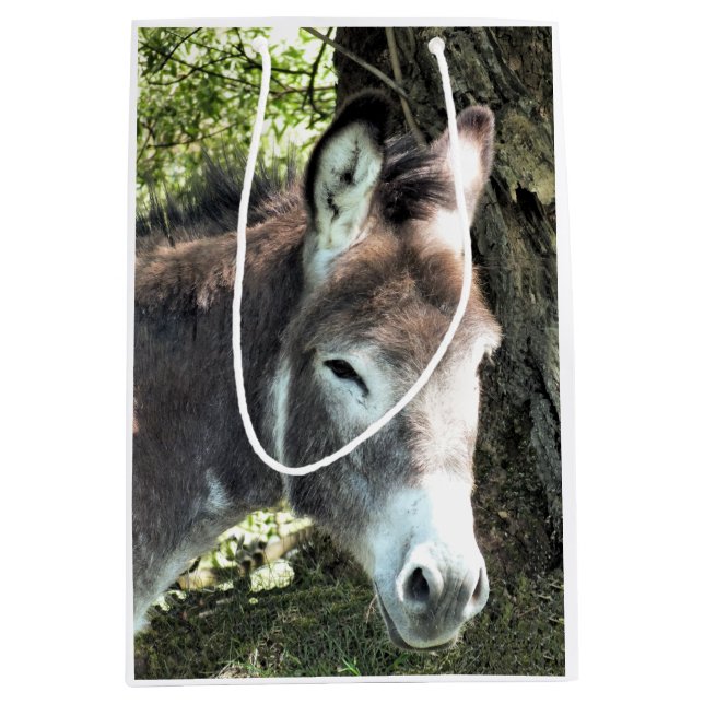 SAC CADEAU MOYEN DONKEY (Devant)