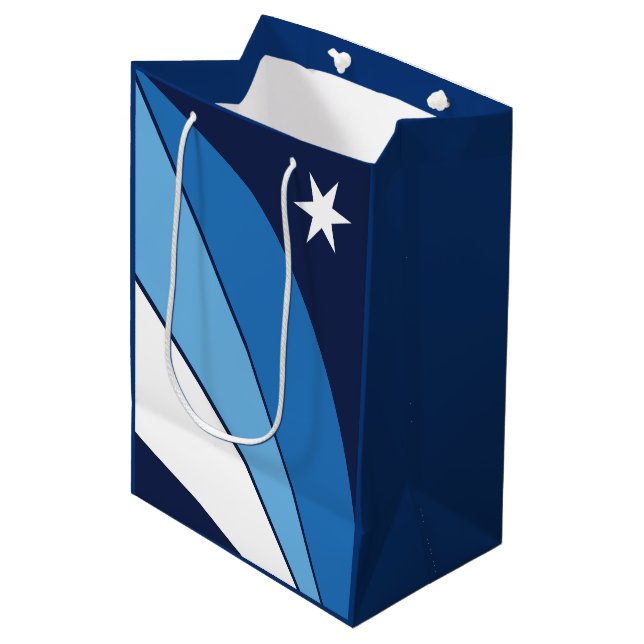 Sac Cadeau Moyen Drapeau de Columbia, Caroline du Sud (Devant Angle)