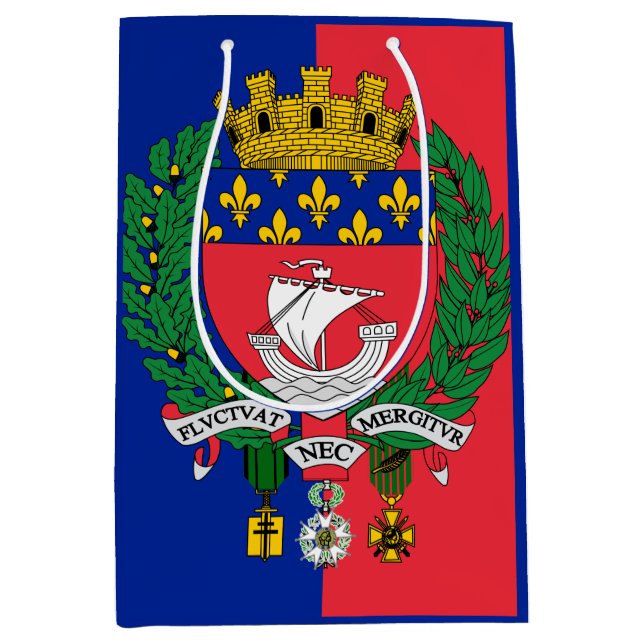 Sac Cadeau Moyen Drapeau de Paris, France (Devant)