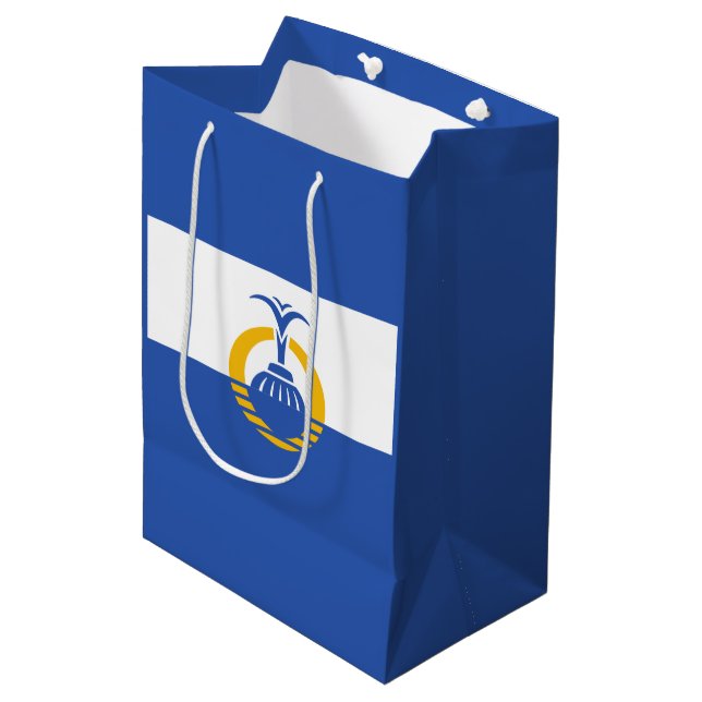 Sac Cadeau Moyen Drapeau d'Orlando, Floride (Devant Angle)