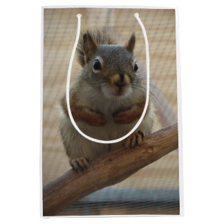 Sac Cadeau Moyen Écureuil mûr à la branche