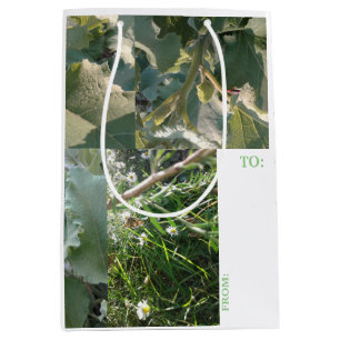 SAC CADEAU MOYEN / ÉTIQUETTE / NATURE / #MMETROPOL