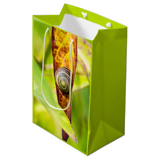 Sac Cadeau Moyen fixation calme