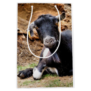 SAC CADEAU MOYEN GOAT