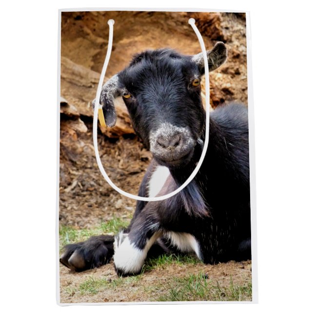 SAC CADEAU MOYEN GOAT (Devant)