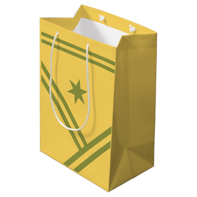 Sac Cadeau Moyen Gold Green Diagonal Stripes Star Modern Graphisme (Dos Angle)