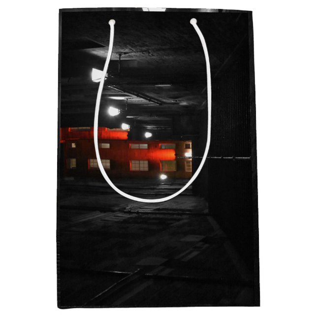 Sac Cadeau Moyen Gothic Staircase (Devant)