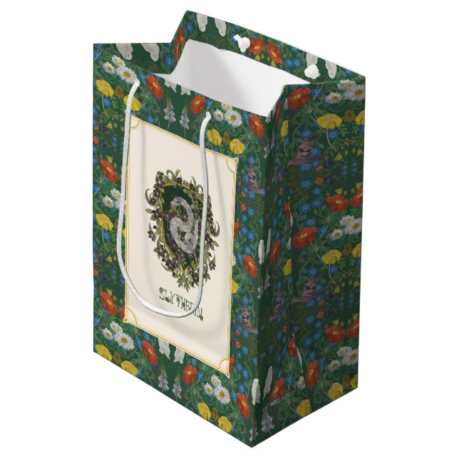 Sac Cadeau Moyen HARRY POTTER™ | Blason SLYTHERIN™ (Devant Angle)