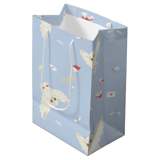 Sac Cadeau Moyen Hedwig Owl Post Letters and Books Pattern (Devant Angle)