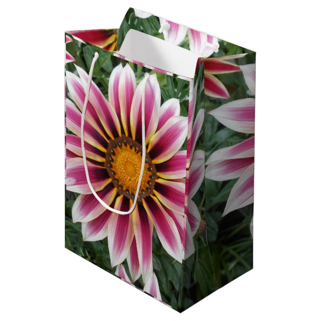 Sac Cadeau Moyen Hereford (Devant Angle)