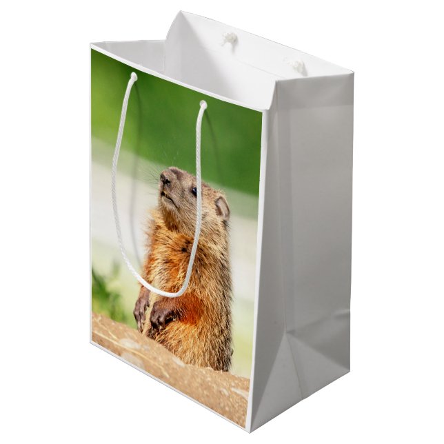 Sac Cadeau Moyen Jeune Groundhog (Devant Angle)