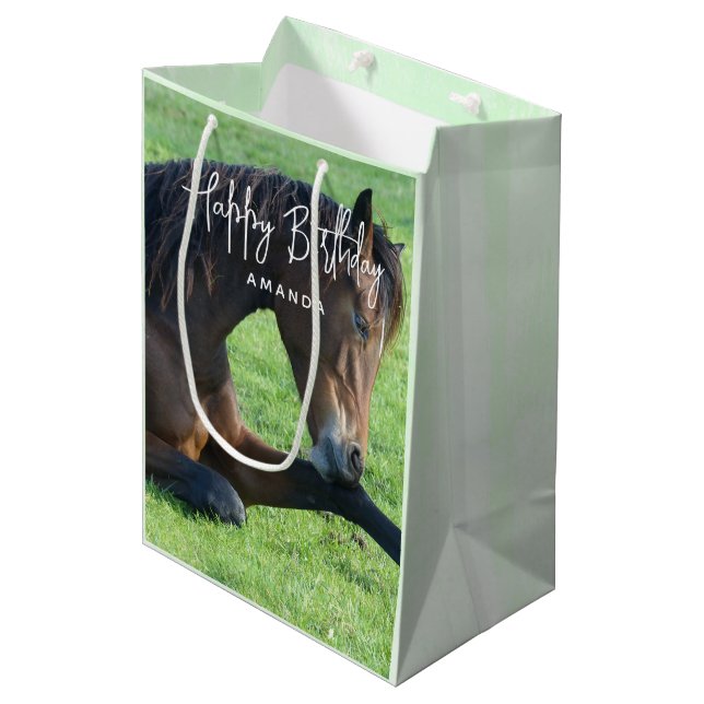 Sac Cadeau Moyen Joli Cheval Brown allongé dans l'herbe Anniversair (Devant Angle)