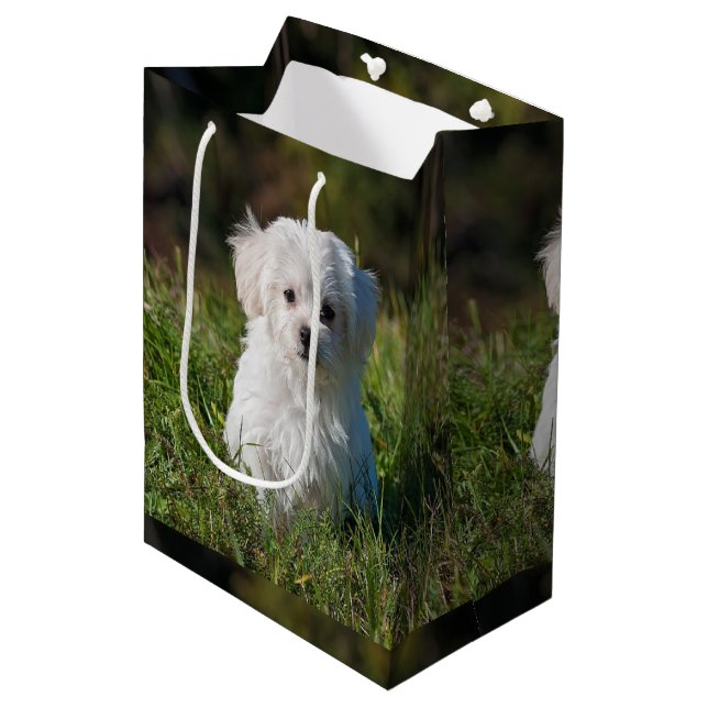 Sac Cadeau Moyen Joli chiot blanc (Devant Angle)