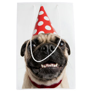 Sac Cadeau Moyen Joli Pug d'anniversaire en chapeau de fête rouge