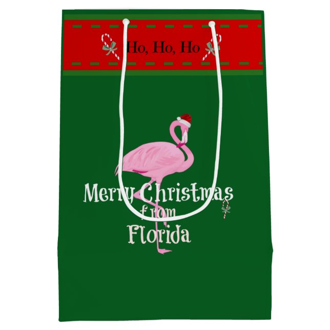 Sac Cadeau Moyen Joyeux Noël de Floride (Dos)