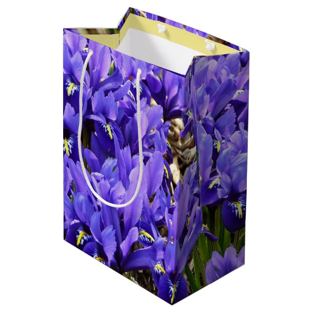 Sac Cadeau Moyen Katherine Hodgkin Irises Printemps Violet Floral (Dos Angle)