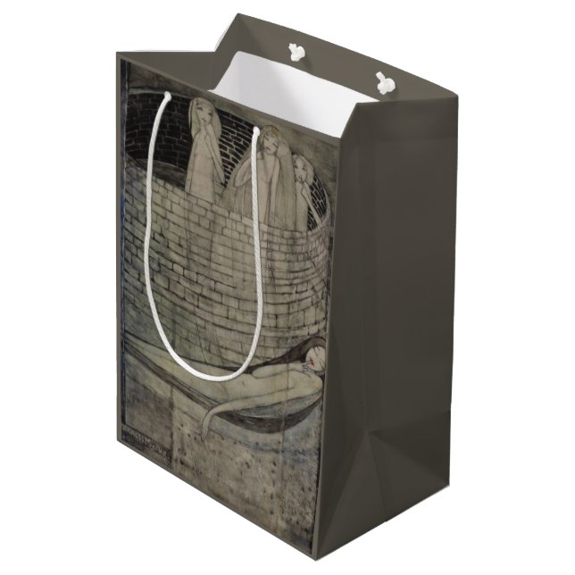 Sac Cadeau Moyen La vérité est au fond du puits (Dos Angle)