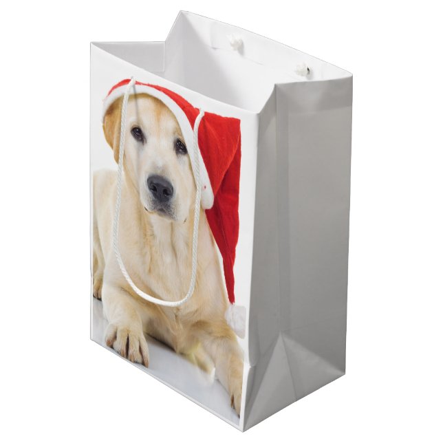 Sac Cadeau Moyen Labrador Retriever Père Noël Medium Cadeau (Devant Angle)
