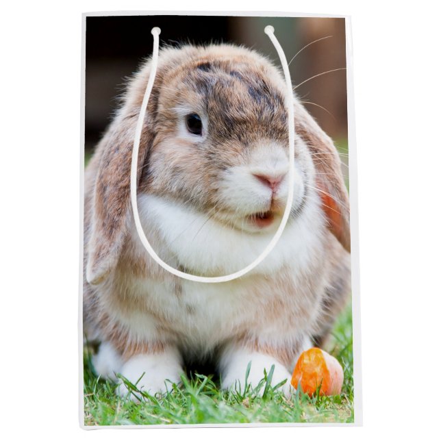 Sac Cadeau Moyen lapin à oreilles de lop mignon (Devant)