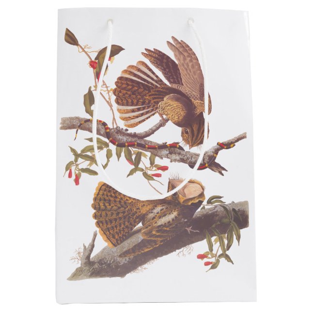 Sac Cadeau Moyen Le cauchemar de la veuve de Chuck Will avec serpen (Devant)