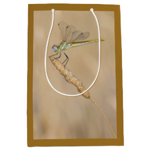 Sac Cadeau Moyen Libellule Skimmer Insecte Femelle (CC BY 4.0) Moye