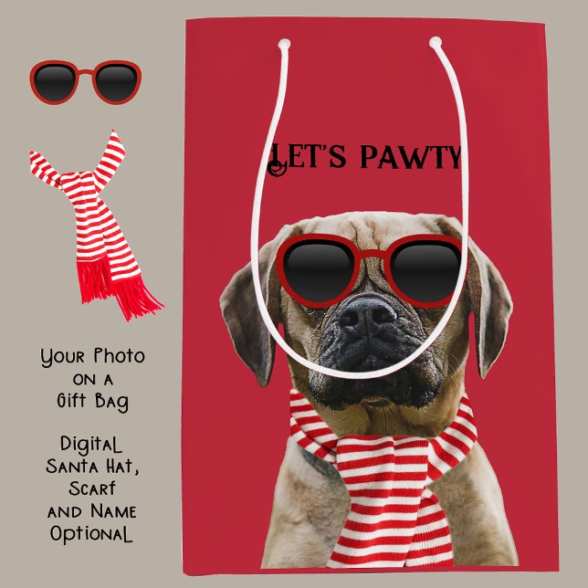 Sac Cadeau Moyen Lunettes de soleil amusantes et écharpe avec photo (Créateur téléchargé)