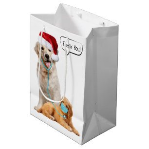 Sac Cadeau Moyen Merci au vétérinaire