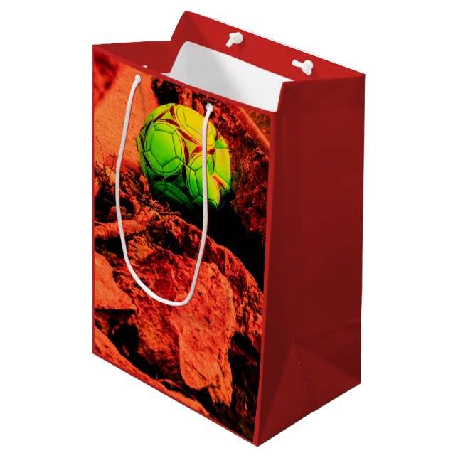 Sac Cadeau Moyen mosquitus (Devant Angle)