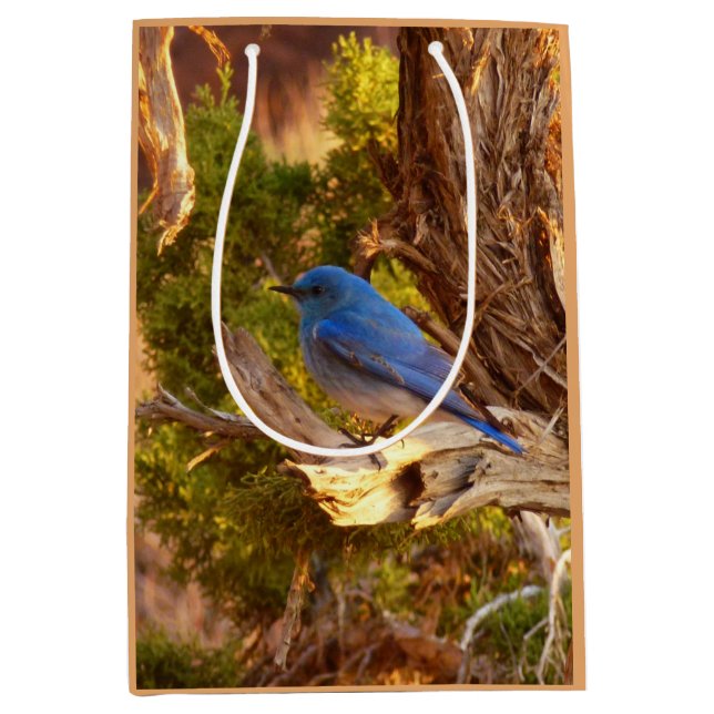 Sac Cadeau Moyen Mountain Bluebird at Arches National Park (Devant)