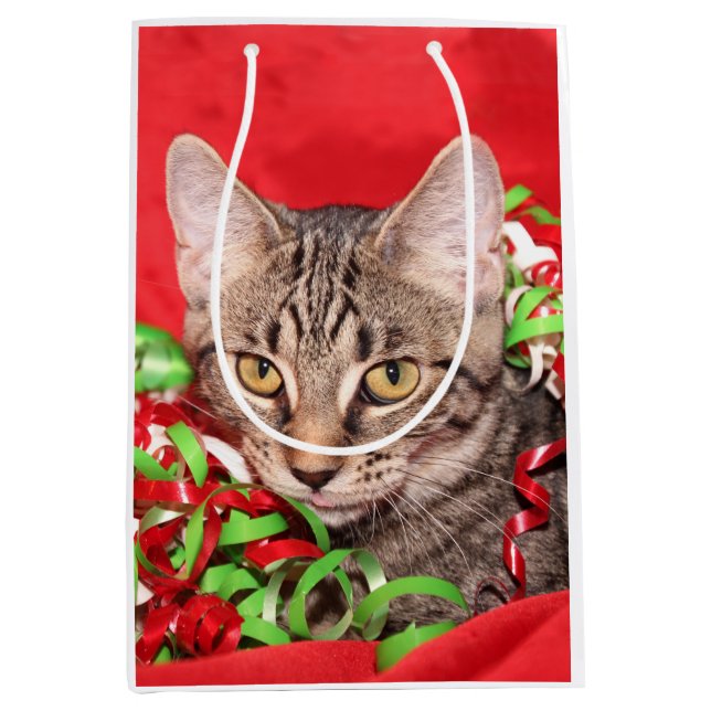 Sac Cadeau Moyen Noël tigré de Kitty (Devant)
