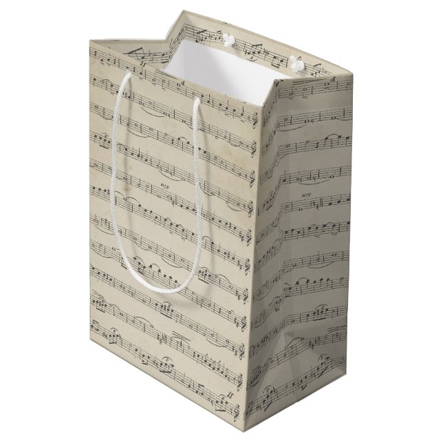 Sac Cadeau Moyen Note de musique vintage (Dos Angle)
