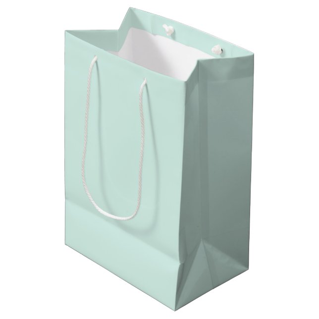 Sac Cadeau Moyen Nuage de Menthe (Devant Angle)