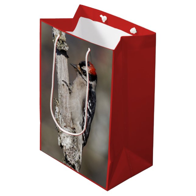 Sac Cadeau Moyen Oiseau de pic mou Downy sur la branche (Devant Angle)