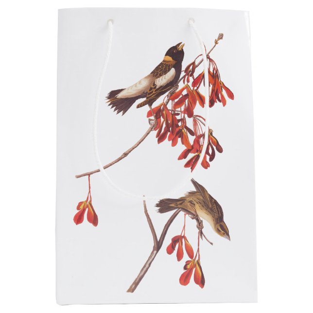 Sac Cadeau Moyen Oiseaux de brume de riz d'Audubon ou oiseaux Bobol (Devant)