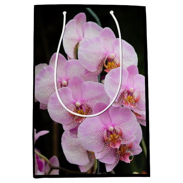 Sac Cadeau Moyen Orchidées roses (Devant)