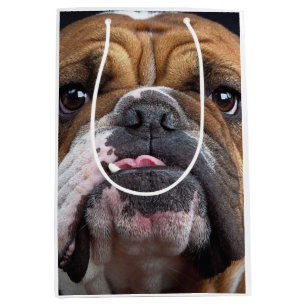 Sac Cadeau Moyen Oreillers à lancer de Bulldog anglais