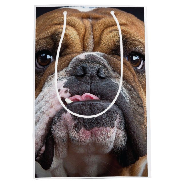 Sac Cadeau Moyen Oreillers à lancer de Bulldog anglais (Devant)