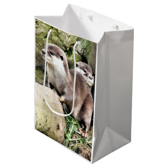 SAC CADEAU MOYEN OTTERS (Devant Angle)