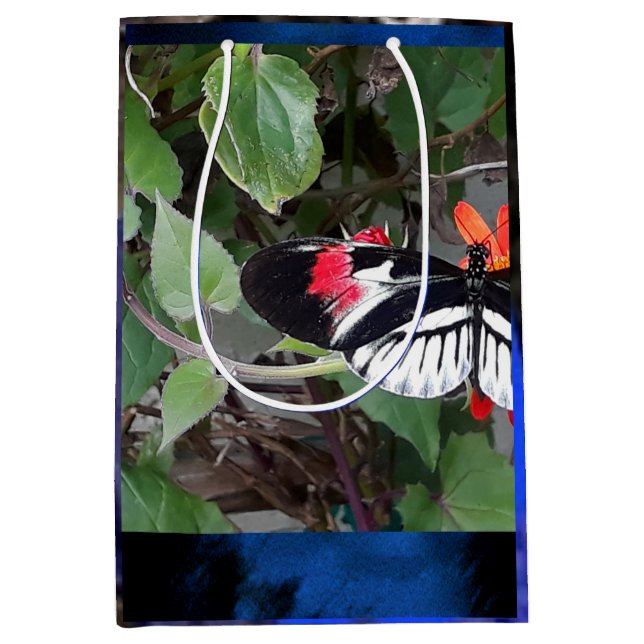 Sac Cadeau Moyen Papillon queue de zèbre (Devant)