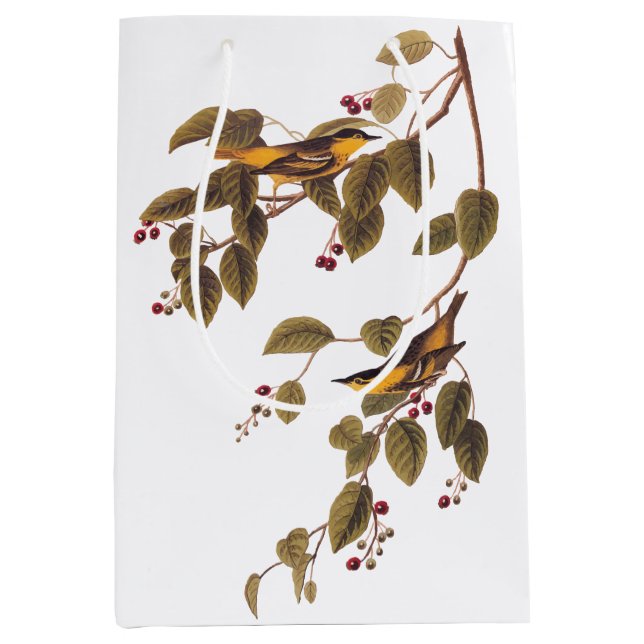 Sac Cadeau Moyen Paruline carbonée Audubon Oiseau (Devant)