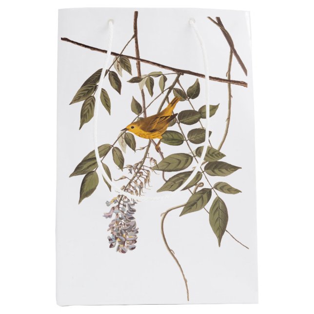 Sac Cadeau Moyen Paruline jaune orangée bleu ornithologique à la ba (Devant)