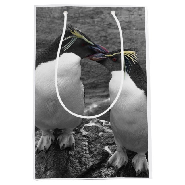 Sac Cadeau Moyen Penguin Colour Splash (Devant)