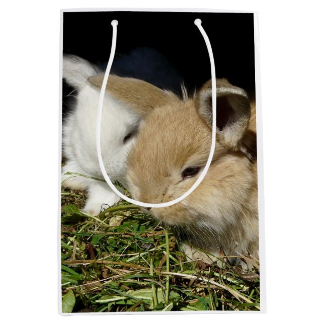 Sac Cadeau Moyen Petit lapin moelleux (Devant)